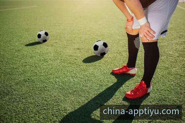 体育App下载与赛事数据访问界面